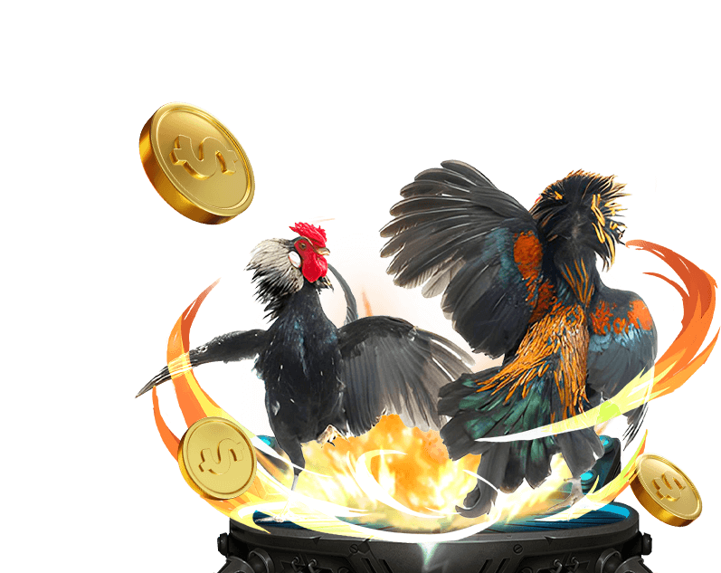 Đá gà trực tuyến nwe88